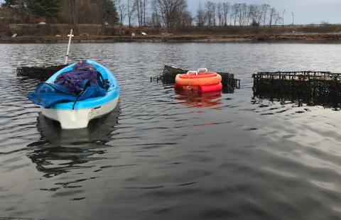 Aquaculture gear used for growing oysters in marine environments.