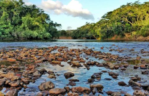 A photo of a tropical river that moves organic carbon sediment into offshore carbon sinks