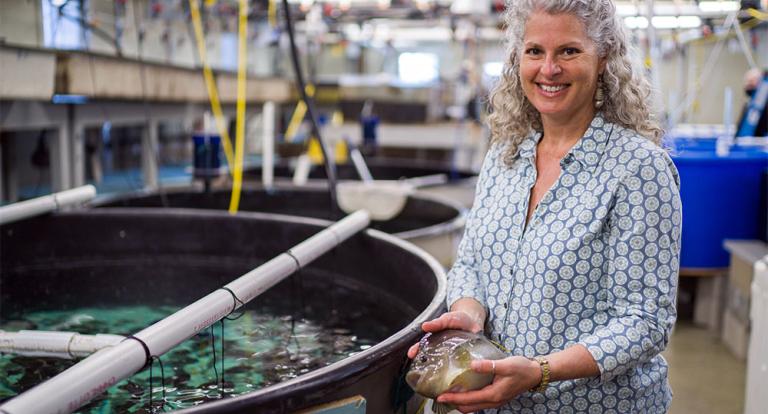 COLSA aquaculture researcher Elizabeth Fairchild holding a lumpfish