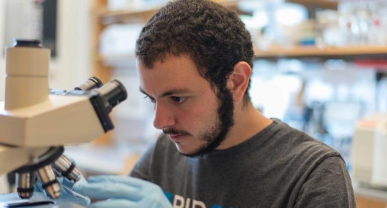 Yusuf Ebrahim '17 peers through a microscope.