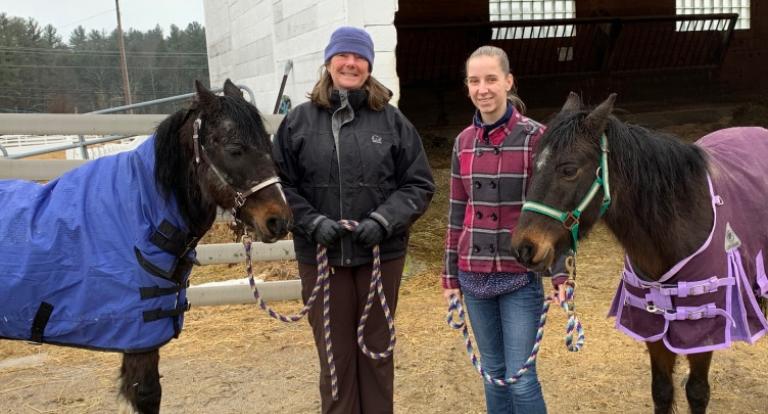UNH Equine Program Helps Rehabilitate Two Rescued Ponies