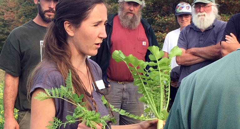 Olivia Saunders with UNH Cooperative Extension discusses the advantages of cover crops with N.H. farmers.