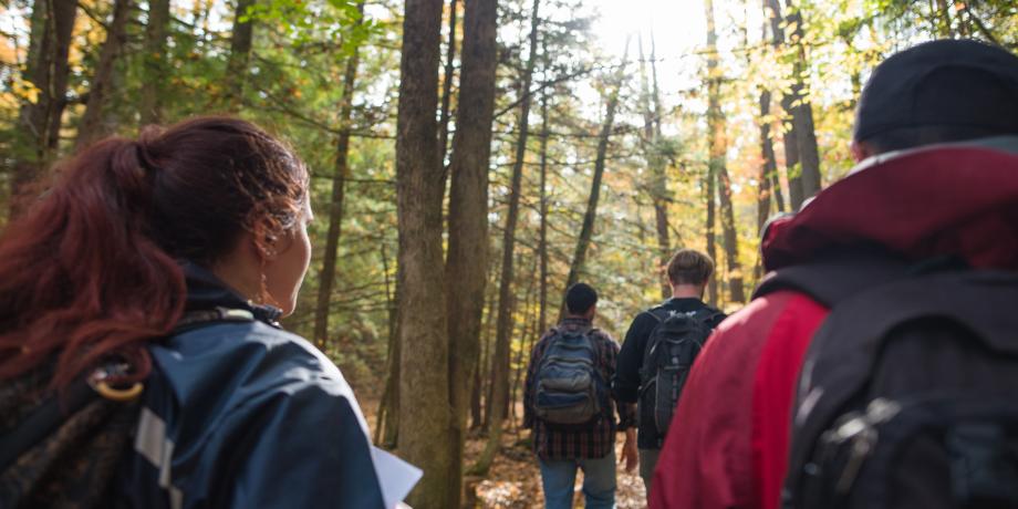 Students walking in college woods at UNH