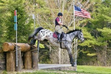 horse jumping an obstacle during a competition