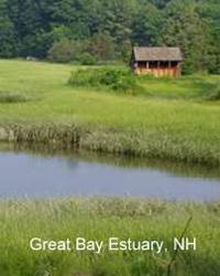 great bay estuary in nh