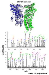 ion counts and a SRP-SR complex image