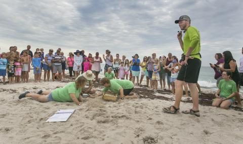 Grey Miller '20 narrates a volunteer-led sea turtle nest dig