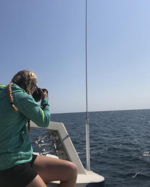 UNH marine, estuarine and freshwater biology major Marissa Cartee photographing whales in the Gulf of Maine