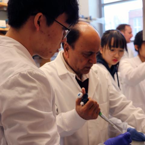 Professor Minocha works with students visiting from South Korea
