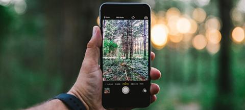 Taking photo with phone Taking photo with phone