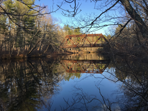 Doe Farm