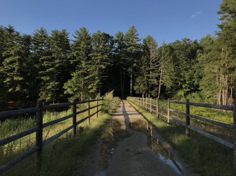 UNH College Woods