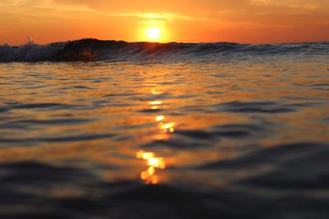 Sandy Neck Beach