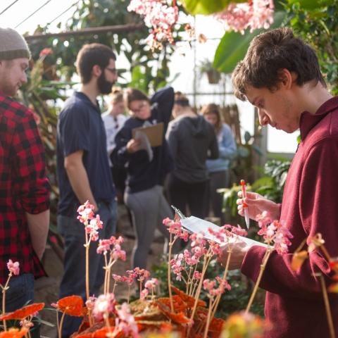 students recording research data in greenhouse