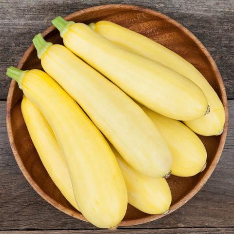 Summer Squash