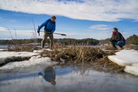 Coastal Research