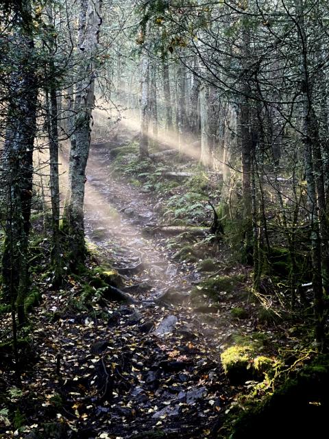 Mt. Tecumseh
