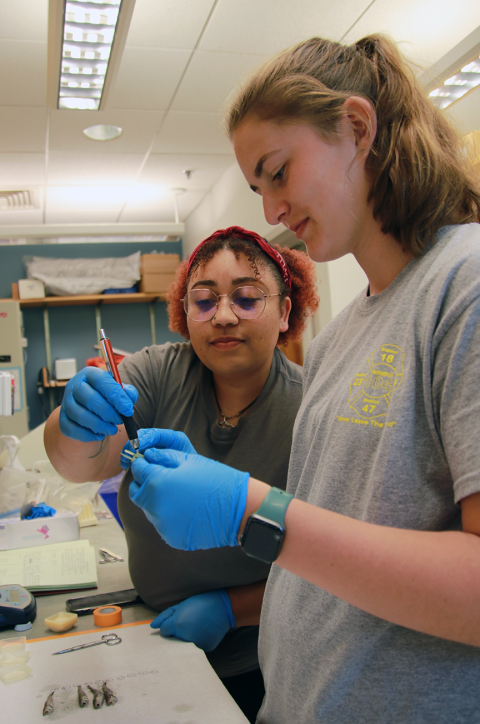 Taja Sims-Harper and Kennedy McGrath dissect fish to look for microplastics
