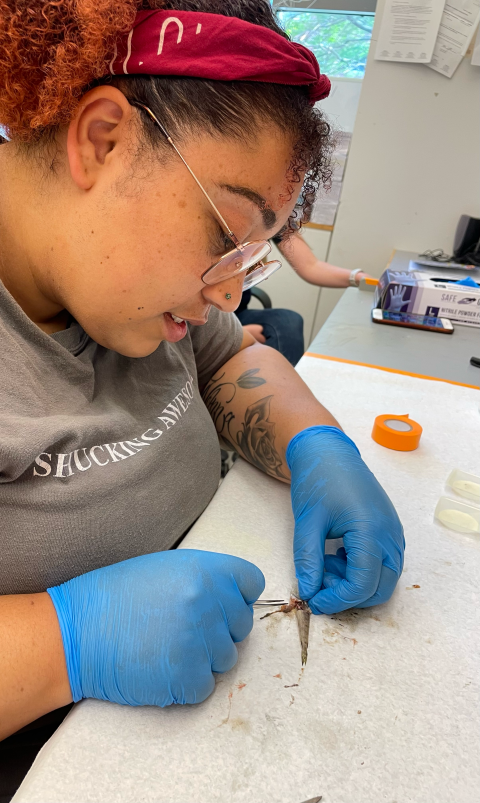 Taja Sims-Harper dissecting a fish Taja Sims-Harper dissecting a fish