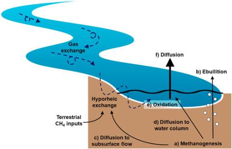 A conceptual model showing how methane diffuses from and oxidizes within a stream.