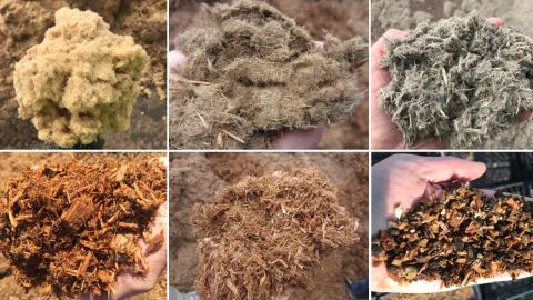 A photo of different soilless substrates used in planting for the Inspired Horticultural Report