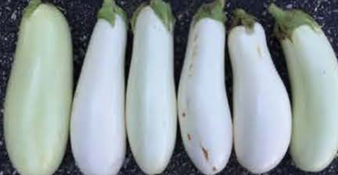 Fresh white star eggplant