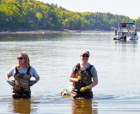 COLSA aquaculture researchers Laura Brown and Krystin Ward working on an oyster farm.