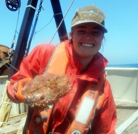 A photo of Marine Biology Master of Science student Sophie Wulfing.