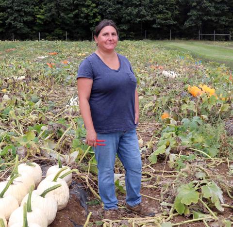 A photo of NHAES scientist Renee Goyette standing in a pumpkin patch at UNH's Kingman Farm