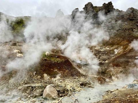 Steam rises from pools and streams of water, the water clear and reflecting the rocky shoreline.