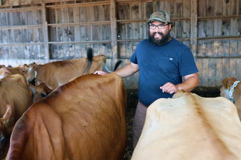 A photo of a white male with a blue shirt, brown pants and a hat herding brown cows into stalls.