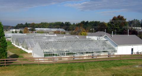 A photo of the Macfarlane Research Greenhouses in the springtime at the University of New Hampshire, Durham.