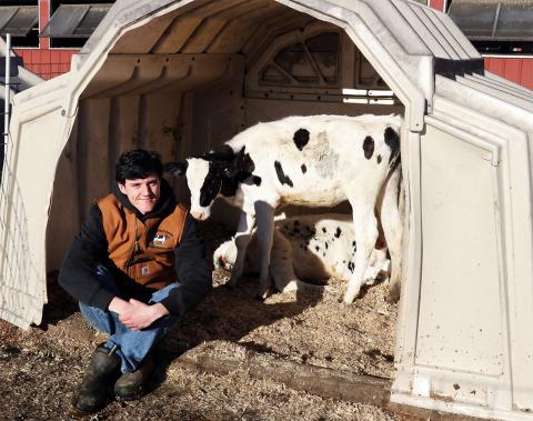 A photo of Tim Cahill sitting down in front of a calf shed at the UNH Fairchild Dairy Research Center. Behind Tim are two black and white holstein calves, one standing and one laying down. The shed is tan and made of plastic.