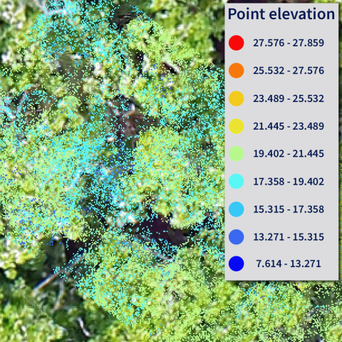 A digital image showing elevation change in the canopy structure with a key located to the right of the image.