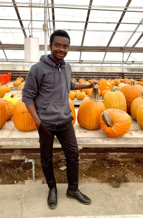 UNH doctoral candidate Joshua Addo with pumpkins