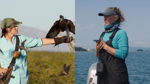 Two photos showing, on the left, COLSA researcher Laura Kloepper and, on the right, COLSA researcher Michelle Fournet.