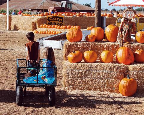 A photo of two children, one pulling a wagon the other being pulled in a wagon, at a fall pumpkin festival.
