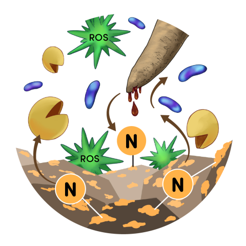 Microbes figure illustration