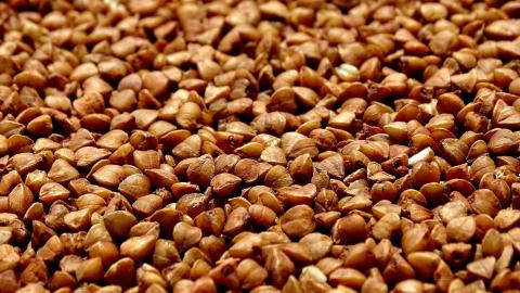 An image of tartary buckwheat seeds. Seeds are brown.