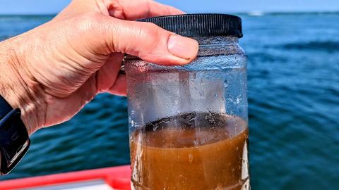 Photo of a hand holding up a jar with brownish liquid in it with a ocean surface in the background.