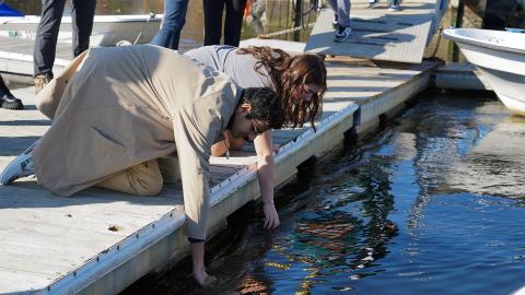 A photo of two UNH students leaning over a dock to gather water samples.