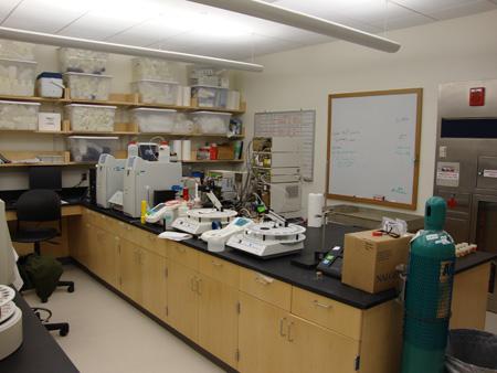 lab image 2