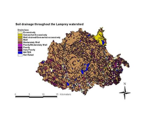 lamprey soil drainage
