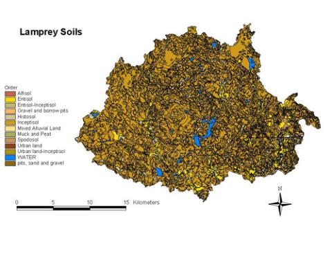 lamprey soil order