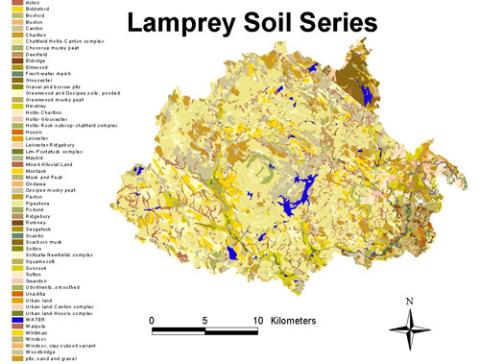 lamprey soil series