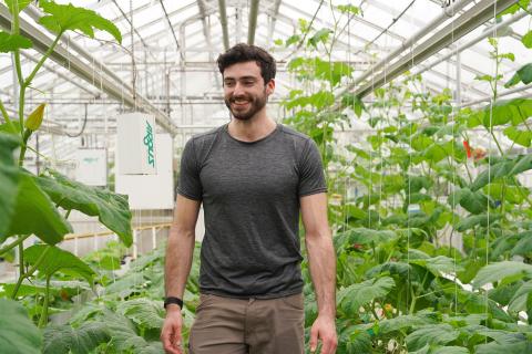 UNH greenhouse manager Matt Biondi walks among cucurbit plants at the UNH Macfarlane Research Greenhouses