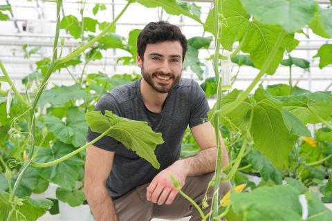 A photo of UNH Greenhouse Manager Matt Biondi standing among cucurbit plants at the greenhouses