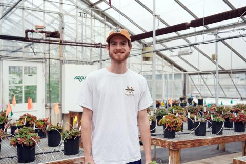 UNH assistant greenhouse manager Tim Fischer standing among tables of strawberry plants in the UNH Macfarlane Research Greenhouses.