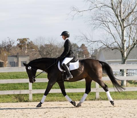 Rider on black horse