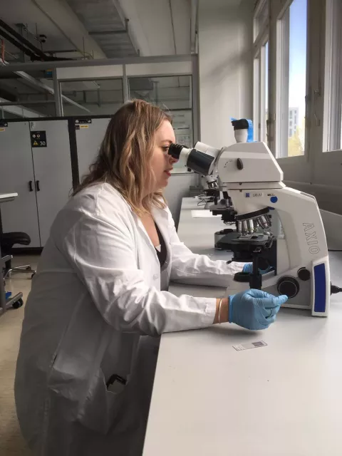 UNH alumna Jaclyn Ruhl looks through a microscope in a lab